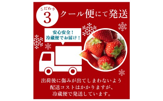 【3月発送/指定日対応】 紅ほっぺ 大粒 900g いちご 冷蔵発送 べにほっぺ 苺 イチゴ 1箱 ゆりかーご 土耕栽培 フルーツ 果物 スイーツ デザート 朝摘み ストロベリー おやつ 完熟 直送 
