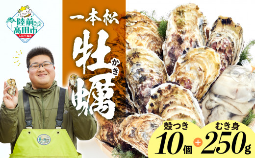 【先行予約】 牡蠣 生食用 殻付き牡蠣 10個 & 加熱用 むき身  250g セット 『一本松牡蠣』【 牡蠣 かき 殻付き むき身 生食 大粒 人気 旬 産地直送 国産 東北 陸前高田 三陸産 広田湾 】 2027年1月から順次発送予定 RT2377