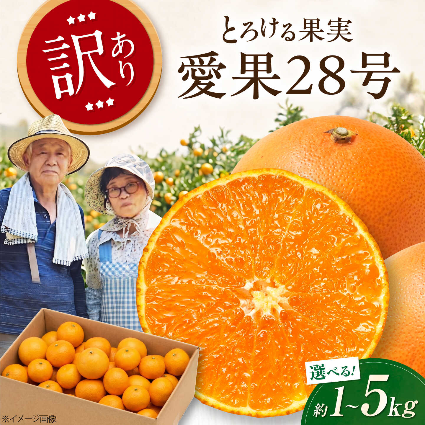 【ふるさと納税】【選べる容量】みかん 訳あり 愛果28号 約1〜5kg【12月上旬から2月下旬まで順次発送】 / フルーツ 果物 蜜柑 ミカン オレンジ 訳あり 訳アリ 小玉 甘い 先行予約 約 5kg 愛媛 果汁 人気 おすすめ 家庭用 / 愛媛県砥部町/西岡さん家のみかん園[BJBG002]