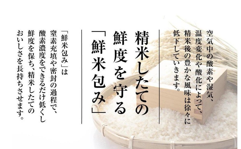 【令和7年産　頒布会】雪温精法　佐渡産こしひかり2kg×3回