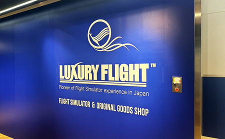 体験型 LUXURY FLIGHT 旅客機のシミュレーター 体験 30分プラン1名様 羽田空港 ギフト