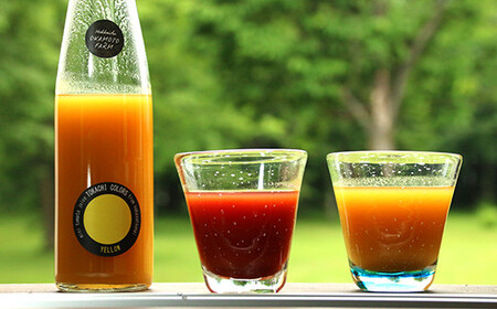 【十勝】太陽の恵み満載!トマトベリーとミニトマトの濃厚ジュースセット[032-0255]