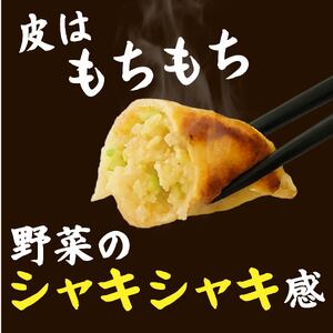 冷凍餃子 21個 正油ラーメン 4食 セット 手仕込み 老舗 一番亭 モチモチ 皮 野菜 たっぷり 豚肉 晩ごはん 家族 お裾分け 子ども 弁当 惣菜 お取り寄せ 餃子セット 中華 ギョーザ 手作り 