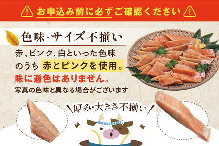 【訳あり】秋鮭ドンっ！無塩 秋鮭 切り身 1.5kg 【BT000PB05】（ さけ サケ 秋鮭 切身 鮭 切り身 鮭 訳あり 鮭 大人気 鮭 海鮮）