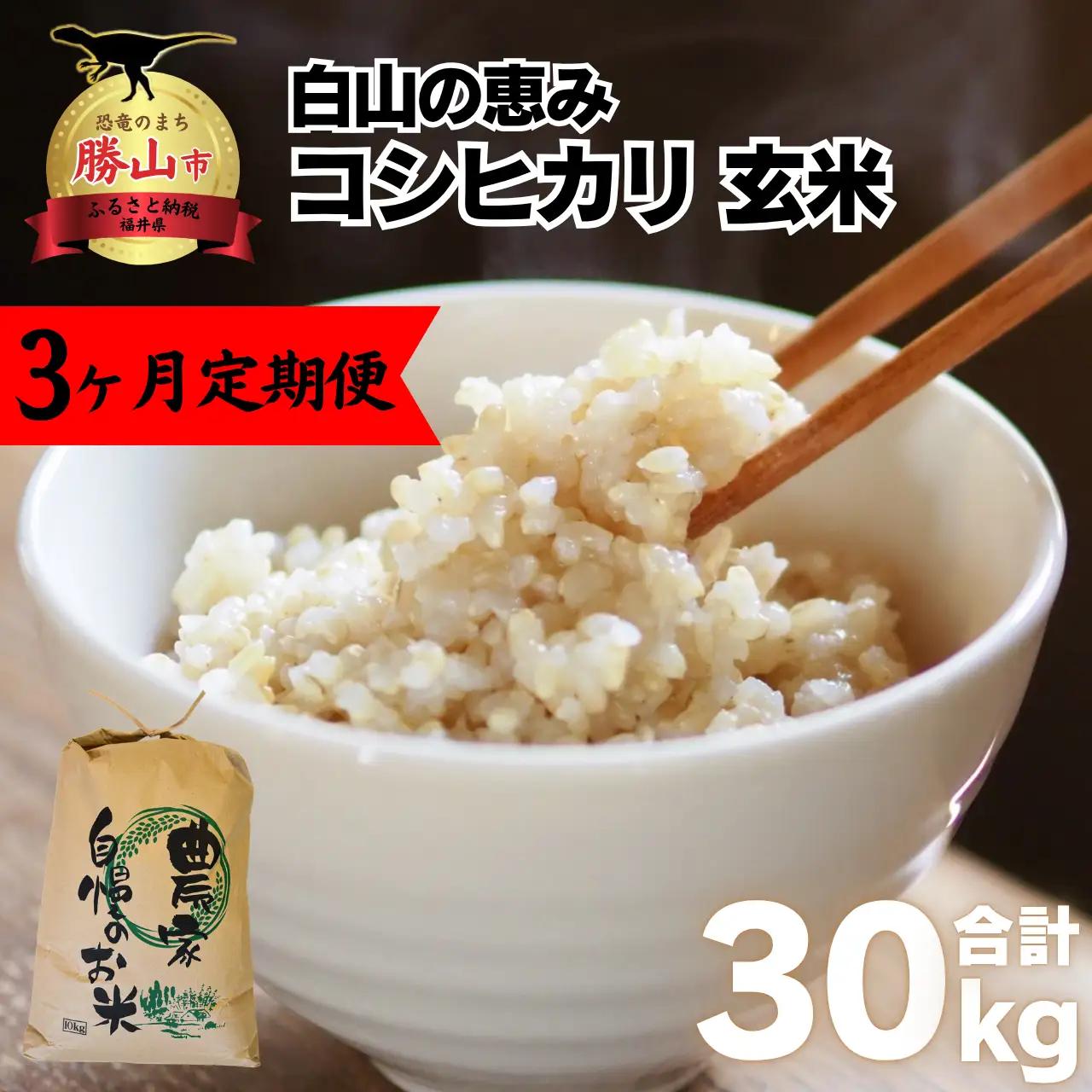 コシヒカリ 定期便 玄米 30kg コシヒカリ