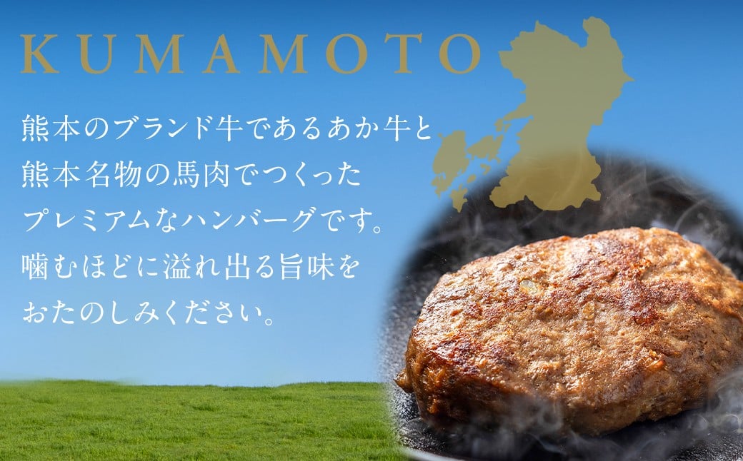 はんば〜ぎゅう 6個セット