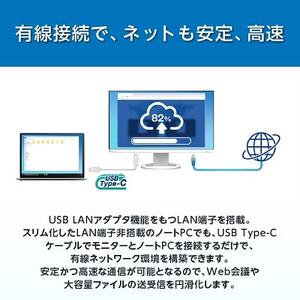 EIZO USB-C入出力・LAN搭載23.8型モニター FlexScan EV2490 ブラック【1308105】