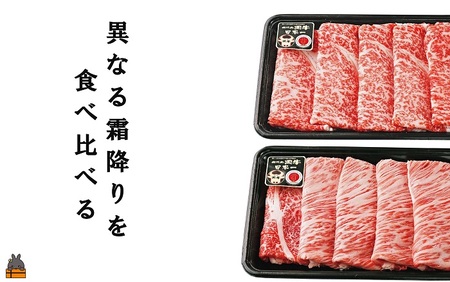  《和牛日本一獲得》5等級 これが!!鹿児島黒牛 2種の霜降りを食べ比べる「すき焼き」（リブロース300g＆カタロース300g) ( 5等級 黒牛 黒毛和牛 牛肉 日本一 全国和牛能力共進会 徳之島 