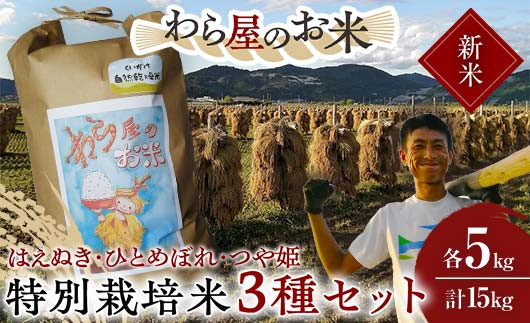 
            【令和7年産 新米 先行予約】 【わら屋のお米】 特別栽培米3種セット 「はえぬき･ひとめぼれ･つや姫」 各5kg (計15kg) 《令和7年10月下旬～発送》 『おがわ藁農園』 米 白米 精米 ご飯 農家直送 セット 食べ比べ 山形県 南陽市  [2170-R7]
          
