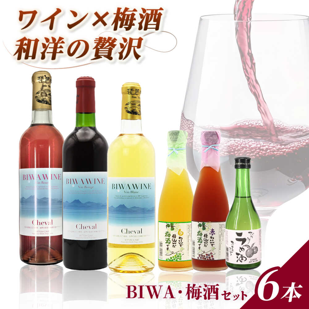 【ふるさと納税】BIWA・梅酒セット / お酒 飲み比べセット 白ワイン 人気 おしゃれ プレゼント / 栗東市 / 太田酒造株式会社[BIAC012]