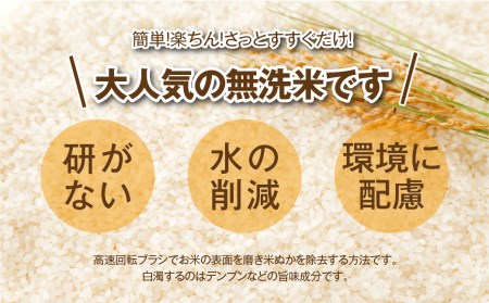 【 新米 】【 無洗米 】 令和6年産 田村市産 ひとめぼれ 10kg ( 5kg × 2袋 ) 精米 白米 贈答 ギフト プレゼント 美味しい 米 kome コメ ご飯 ブランド米 精米したて お米