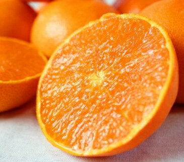 【ふるさと納税】 紀州和歌山産 せとか 約3kg 【2026年2月下旬頃〜2026年3月下旬頃発送予定】【先行予約】 | フルーツ 果物 くだもの 食品 人気 おすすめ 送料無料 産地直送