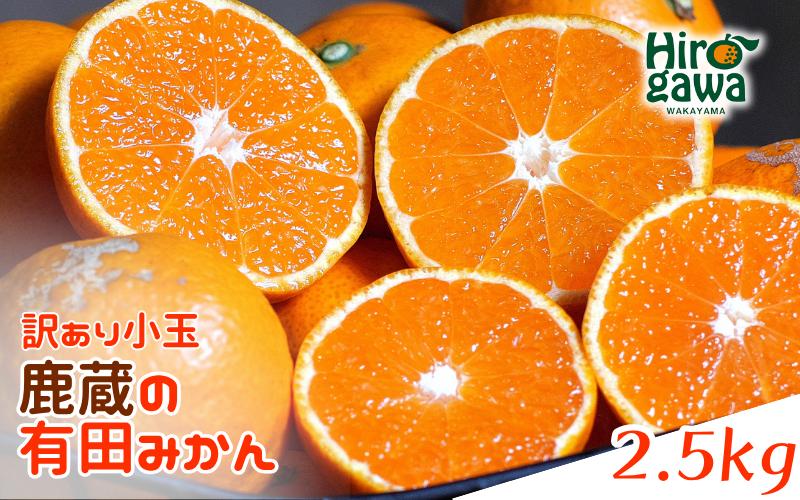 
                  鹿蔵の 有田 みかん 訳あり 小玉 2.5kg 光センサー 選果 / 温州みかん 有田みかん 甘い 家庭用 和歌山 柑橘 ※2026年11月順次発送予定 ※北海道・沖縄・離島への配送不可 【ikd004-cs-2d5-novC】
                