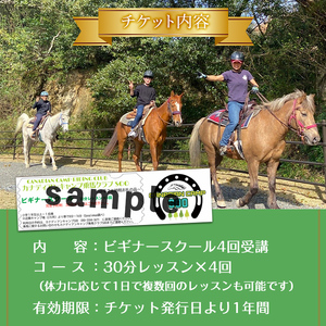 【 乗馬 スクール チケット 】ビギナー スクール 30分レッスン×3回 小学1年生以上  体験 チケット (1名様)【曽於市観光協会】 D40