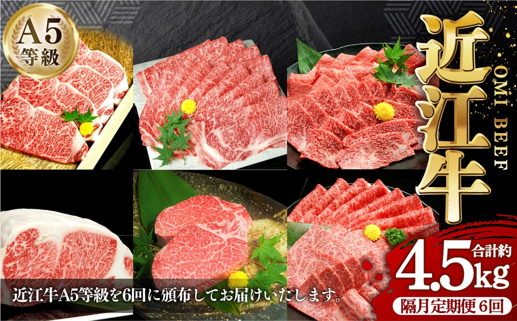 
                  【 2ヶ月毎6回定期便 】 近江牛 A5等級の定期便 牛肉 お肉 肉 ニク にく 牛 日本三大和牛 和牛 精肉 サーロイン ロース ステーキ 焼肉 すき焼き しゃぶしゃぶ シャトーブリアン ヒレ カルビ 食べ比べ 詰め合わせ セット 国産 滋賀県産 冷凍 定期 定期配送
                