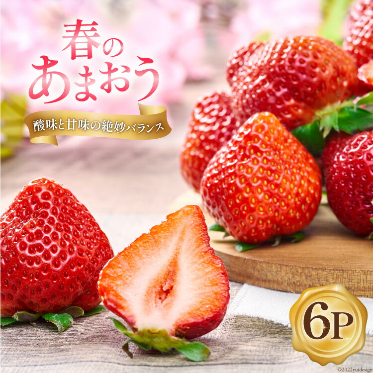 【ふるさと納税】【期間限定発送】 いちご 春の苺 あまおう 6パック [南国フルーツ 福岡県 筑紫野市 21760095] いちご 苺 イチゴ フルーツ 果物 期間限定 季節限定 福岡県産 甘い 春苺