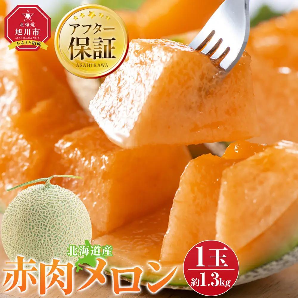 【先行予約】北海道産赤肉メロン1.3kg×1玉 (2026年7月中旬から発送開始) | メロン _05228