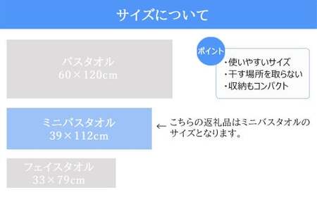 今治タオルブランド 乾きやすい 「速乾」シリーズ 抗菌防臭ミニバスタオル2枚セット （ブラウン＆ベージュ） 【Hello!NEW】
