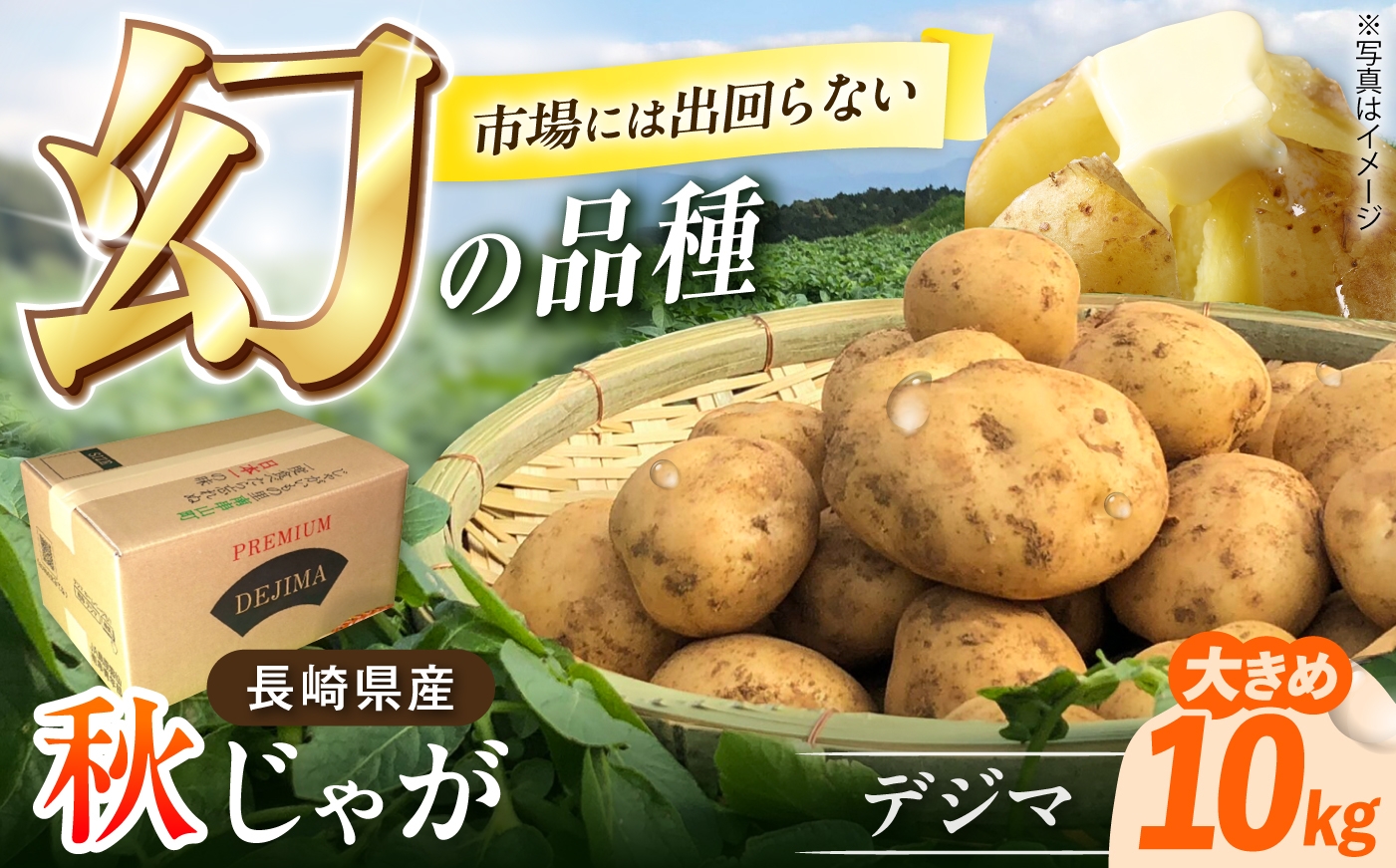 
                  なんぐしデジマ（秋作じゃがいも）大きめ10kg 長崎県/なんぐしデジマプロジェクトチーム [42ALAI008] デジマ じゃがいも ジャガイモ 秋作 秋じゃが 雲仙 長崎 国産 ほくほく 野菜 旬 家庭用
                