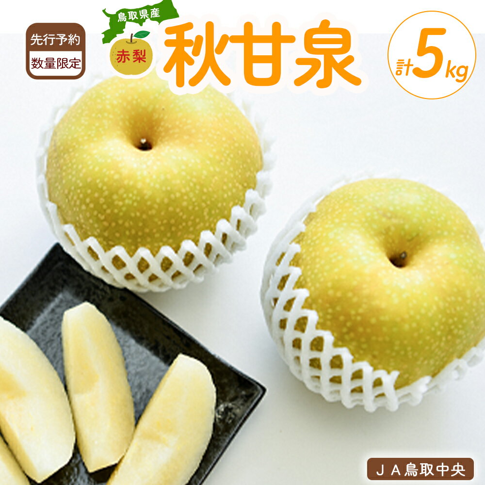 【ふるさと納税】 秋甘泉 （5kg）【倉吉産】 梨 なし ナシ あきかんせん 果物 フルーツ 和梨 先行予約 数量限定 詰め合わせ 18000 1万8千円