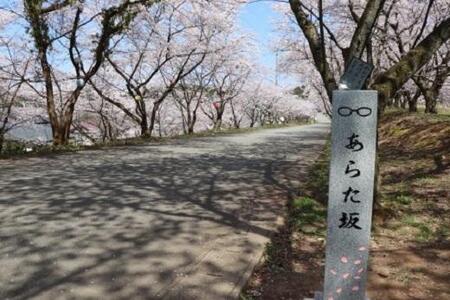 【あわら市】JTBふるさと旅行券（紙券）450,000円分 / 北陸新幹線 あわら温泉 温泉 旅館 ホテル  旅行 トラベル 支援 宿泊 チケット 宿泊券 券 予約 クーポン 体験 北陸 福井県 あわ