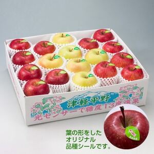 【令和7年産・先行予約】糖度13度選果 シナノスイート＆名月＆サンふじ りんご3種 約4.3kg【配送不可地域：離島・沖縄県】【1507635】