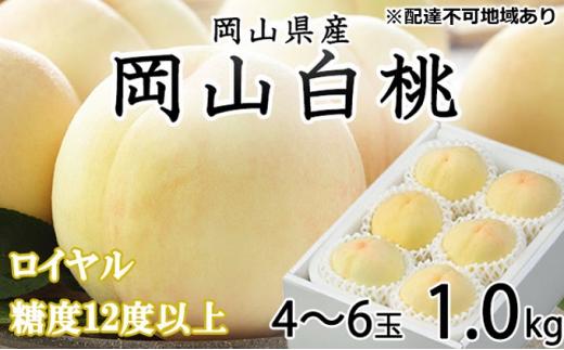 桃 2025年 先行予約 岡山 白桃 ロイヤル 4～6玉 約1kg JAおかやまのもも（早生種・中生種） もも モモ 岡山県産 国産 フルーツ 果物 ギフト