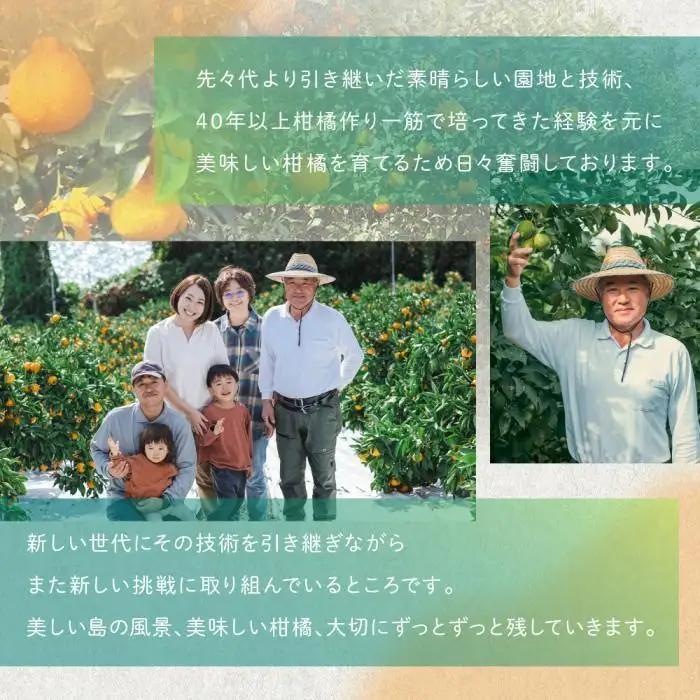 完熟ハウスせとか 3kg |瀬戸内産 せとか
