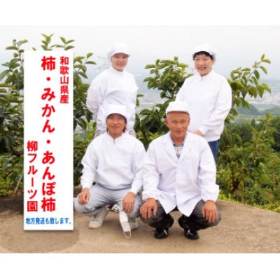 柿【先行受付】柳フルーツ園 富有柿 約4kg L/2Lサイズのみ 箱入り お供えや贈答品にも!