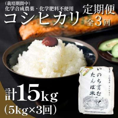 ふるさと納税 小松島市 【令和7年産新米】 定期便 3回 米 コシヒカリ 計15kg 5kg × 3回 白米 お米 おこめ