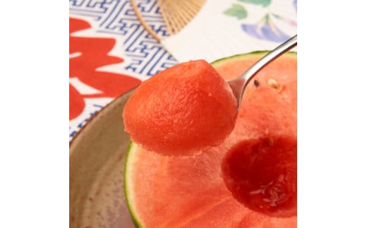 【先行予約】農家直送 厳選 小玉すいか Mサイズ/1玉入り【2027年6月上旬～6月下旬（順次発送予定）】【農家直送】【大人気】【和歌山県産】【ard175B】