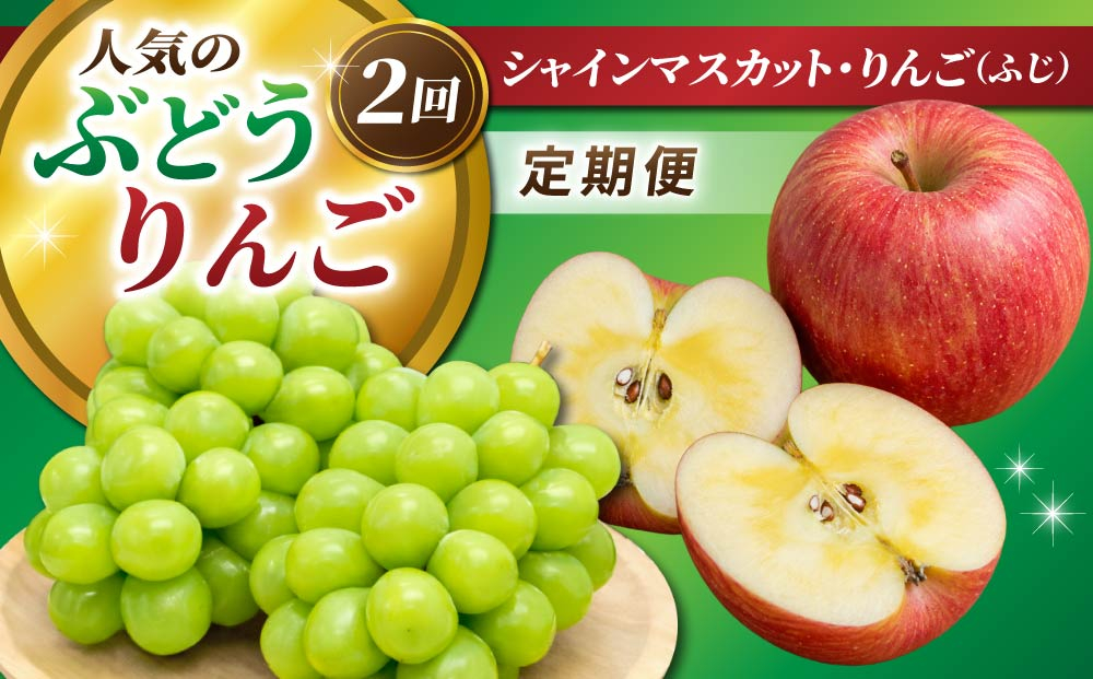 【2回定期便】人気のぶどう・りんご（シャインマスカット・ふじ）｜JA信州うえだ農業協同組合 長野県 東御市産