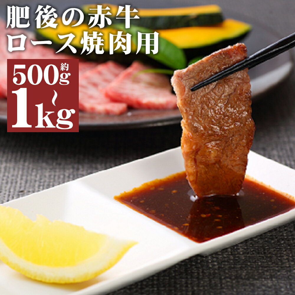 【ふるさと納税】肥後の赤牛 ロース 焼肉用 約500g/約1kg 選べる内容量 焼き肉 カット済み あかうし 赤牛 牛肉 和牛 お肉 熊本県産 九州産 国産 冷凍 送料無料