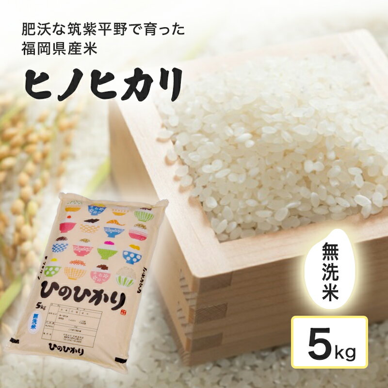 【ふるさと納税】米 肥沃な筑紫平野で育った 福岡県産米 ヒノヒカリ 無洗米 5kg お米 コメ 令和7年度産