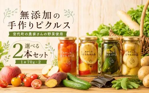 カラフルピクルス 2本セット みやしろピクルスの森
