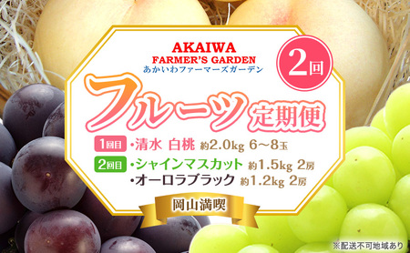 桃 ぶどう 定期便 2026年 先行予約 岡山満喫！ 清水 白桃 約2.0kg 6～8玉 ぶどう 2種 詰合せ 2回に分けてお届け!