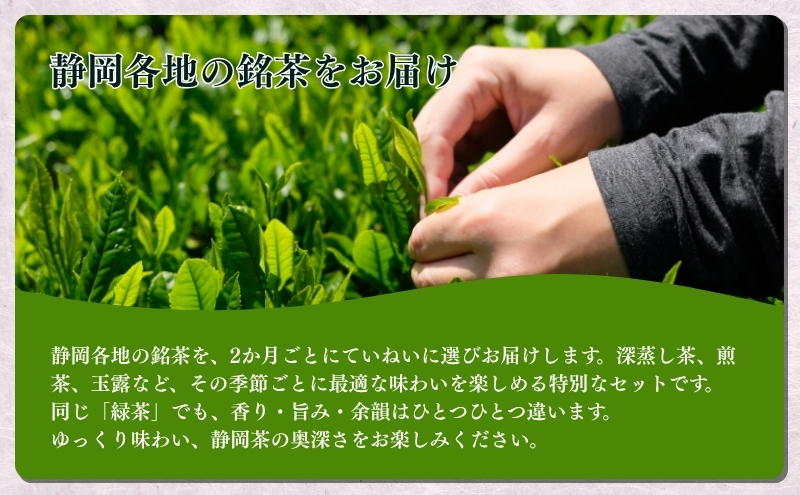 お茶 定期便 6回 静岡 おすすめ上煎茶を2か月に一回お届け 緑茶 茶葉 お茶巡りの旅 上煎茶 煎茶 一番茶 深蒸し茶 深蒸し 茶 静岡茶 日本茶 お茶の葉 飲料 飲み物 ドリンク ギフト プレゼント