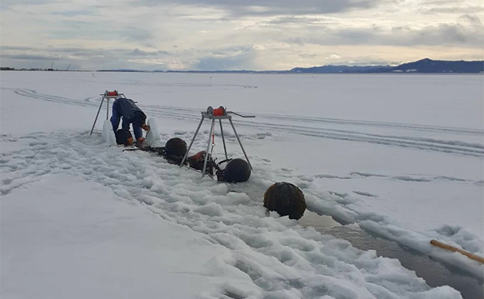 北海道 サロマ湖産 殻付き 牡蠣 約4kg 生食用 かき カキ 国産 貝付き 生牡蠣 焼き牡蠣 蒸し牡蠣 魚貝類 海鮮 美味しい 楽しい 過酷 環境 臭み ギュッ 旨味 幸せ 新鮮