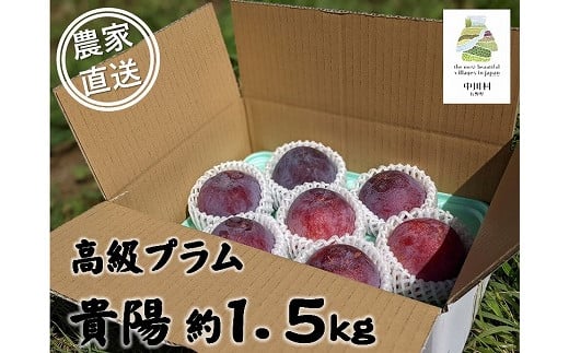 
農家直送】中川村産高級プラム貴陽　約１．５Ｋｇ
