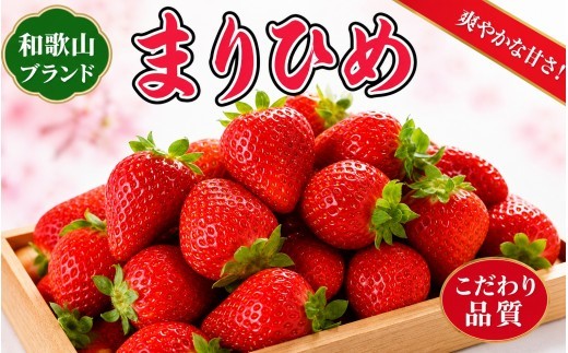 
                  和歌山オリジナルブランドいちご「まりひめ」約250ｇ×4パック ※ 2027年3月上旬頃～3月下旬頃に順次発送順次発送（お届け日指定不可）/イチゴ 苺 フルーツ 紀州 和歌山【uot758C】
                