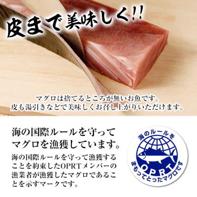 ふるさと納税 いちき串木野市 【定期便6回(毎月)】南マグロ丸ごと1本分 大トロから赤身まで4kg〜6kgほどを揃えた贅沢セット |  | 03