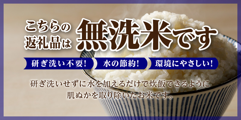 《令和8年産先行予約》【3ヵ月定期】滝川産ななつぼし無洗米 6kg 定期便 新米 特A 北海道 お米マイスター ブランド米 皇室 白米 精米 米 こめ コメ お米 単一米 ご飯 ごはん 生活応援 送料
