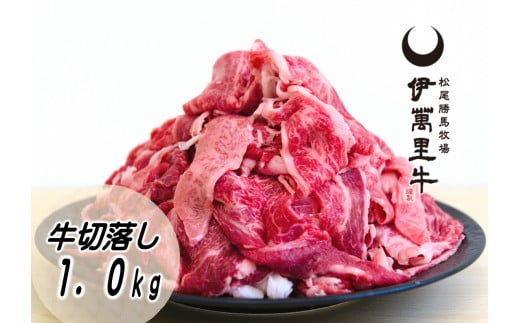 A5A4伊萬里牛(伊万里牛)上カルビ焼肉500ｇ　 007-J1467