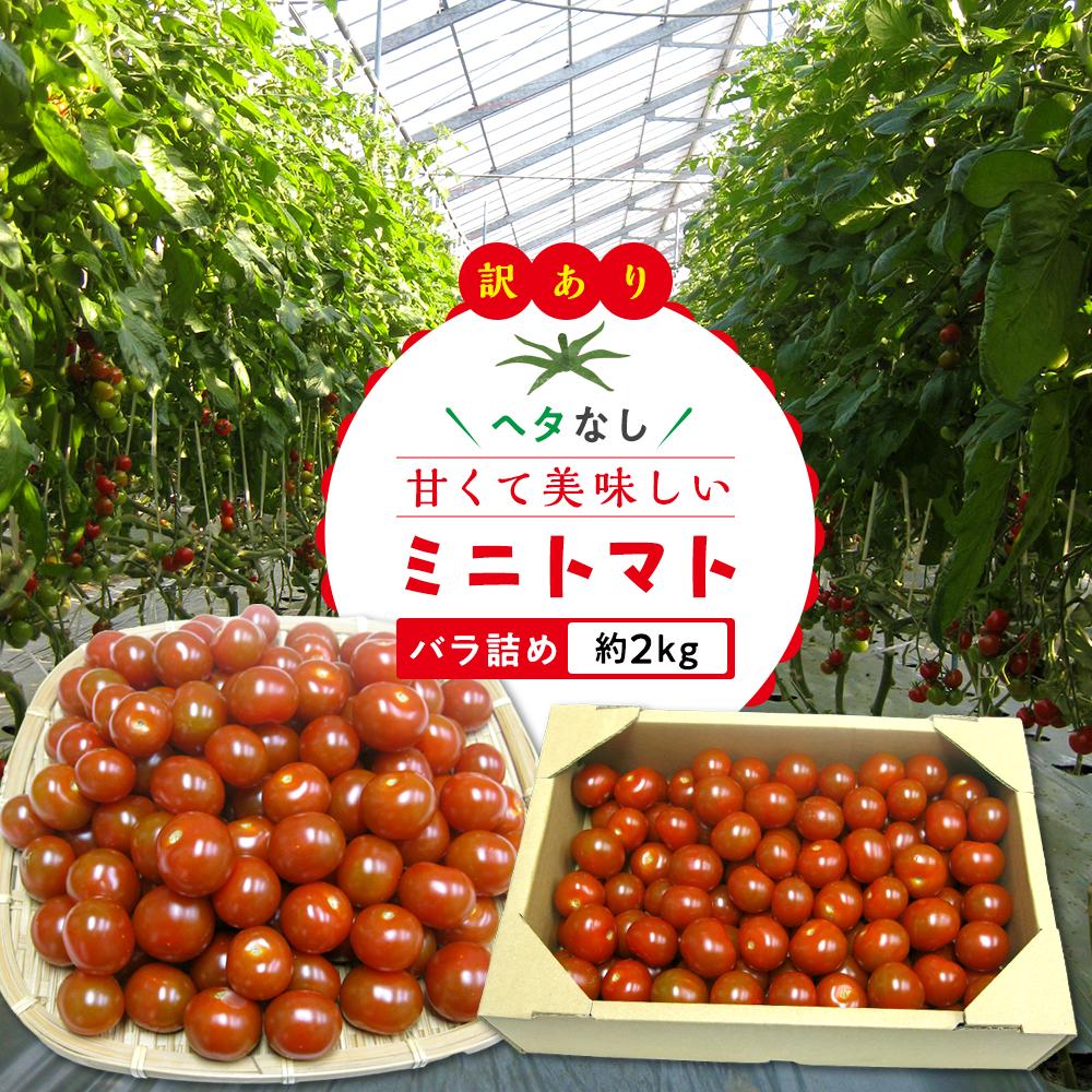 【ふるさと納税】【3月下旬頃～発送】訳あり 規格外 ミニトマト 約2kg