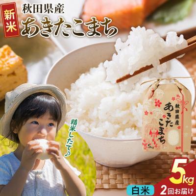 ふるさと納税 大仙市 定期便2ヶ月 白米  あきたこまち 5kg  R8年|22_kml-060502s | 