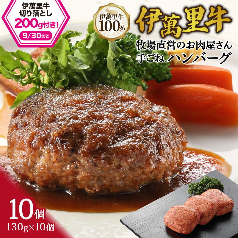 【ふるさと納税】伊萬里牛100% 手作り 勝ハンバーグ 10個 007-J1040 【 佐賀牛 惣菜 牛肉 伊万里牛 伊萬里牛 ハンバーグ 牛 焼くだけ お弁当 手作り ソース付き 】