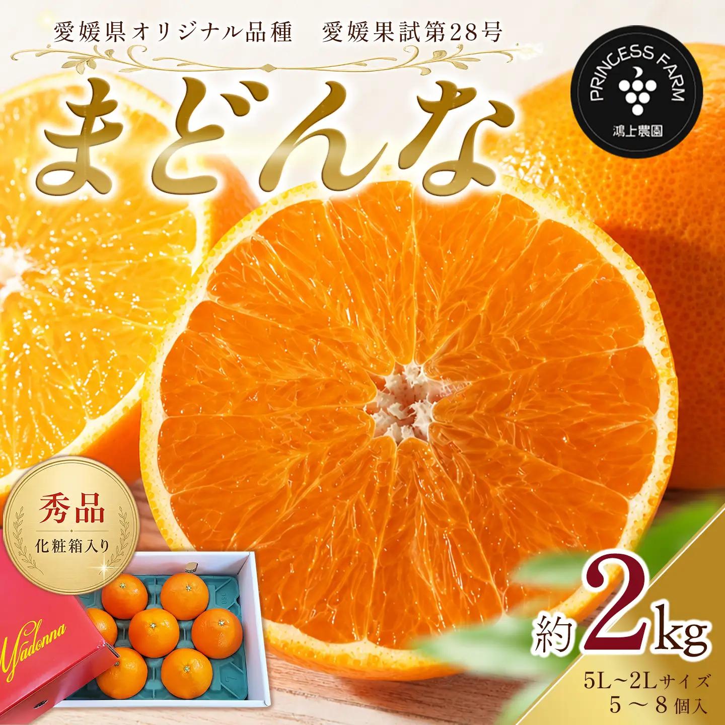 まどんな 約2㎏【秀品･化粧箱（2L～5L）5～8個入】｜あいか 紅まどんなと同品種