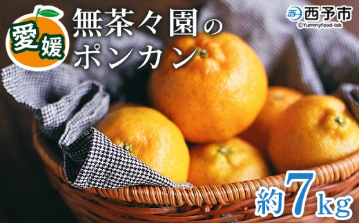 ＜無茶々園のポンカン 約7kg＞ 【先行予約】果物 くだもの フルーツ ぽんかん みかん 蜜柑 柑橘類 かんきつ 旬 甘い 濃厚 新鮮 期間限定 季節限定 産地直送 特産品 愛媛県 西予市 【常温】