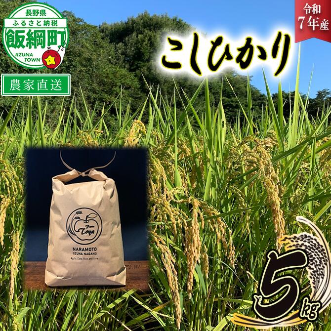 【ふるさと納税】 米 こしひかり 5kg ( 令和7年産 ) ファームトヤ 沖縄県への配送不可 長野県 飯綱町 〔 コシヒカリ 白米 精米 お米 信州 予約 農家直送 18000円 〕発送時期：2025年10月上旬〜 [お届け1回 (**)]
