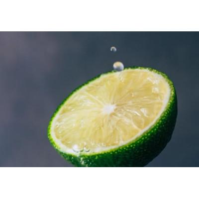 ふるさと納税 日向市 宮崎 100%ストレート へべす果汁 1L |  | 02